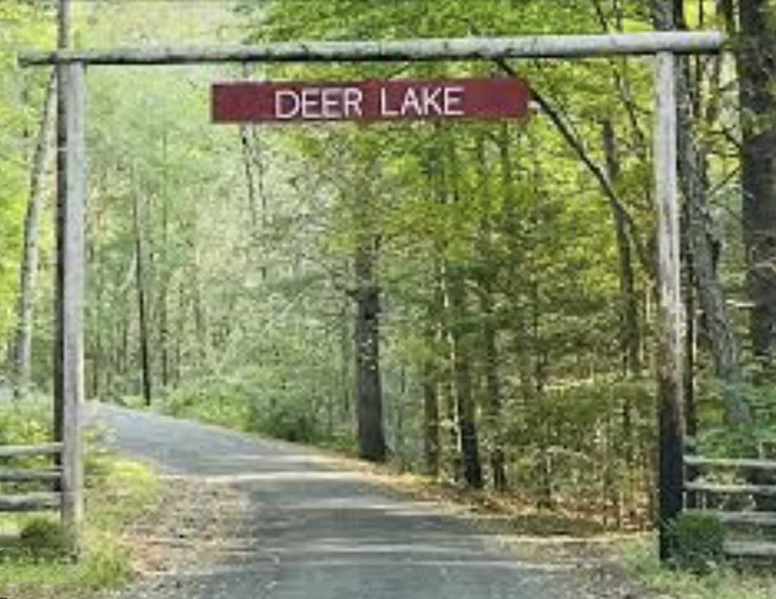 Deer Lake