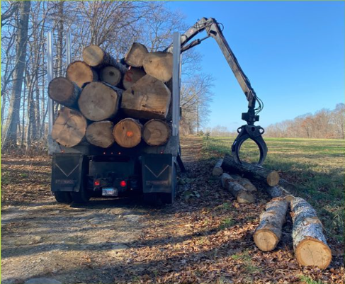 Connecticut timber producers are on Instagram