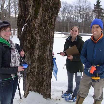 Continuing Education for maple syrup producers