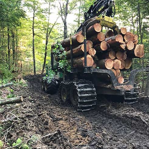 Connecticut_Timber_490W